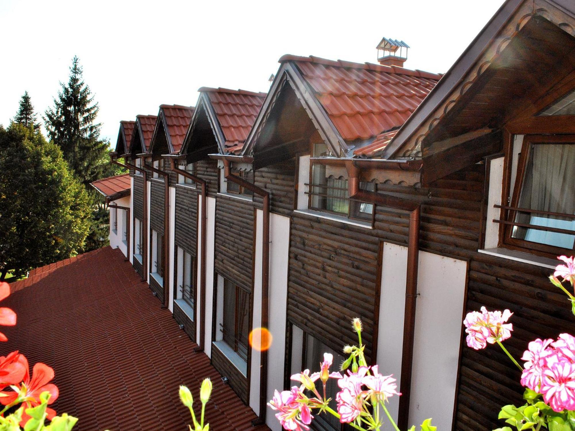 Spa Hotel Ivelia Dubnitsa 객실 사진
